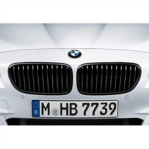 GLOSS BLACK KIDNEY GRILLES